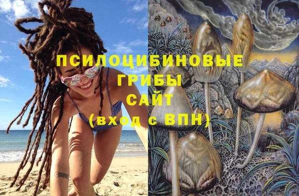 первитин Алексеевка