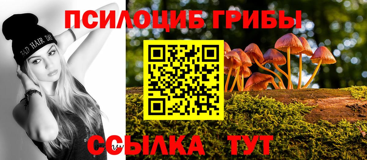 Псилоцибиновые грибы прущие грибы  магазин  наркотиков  Минусинск  Вход с VPN 