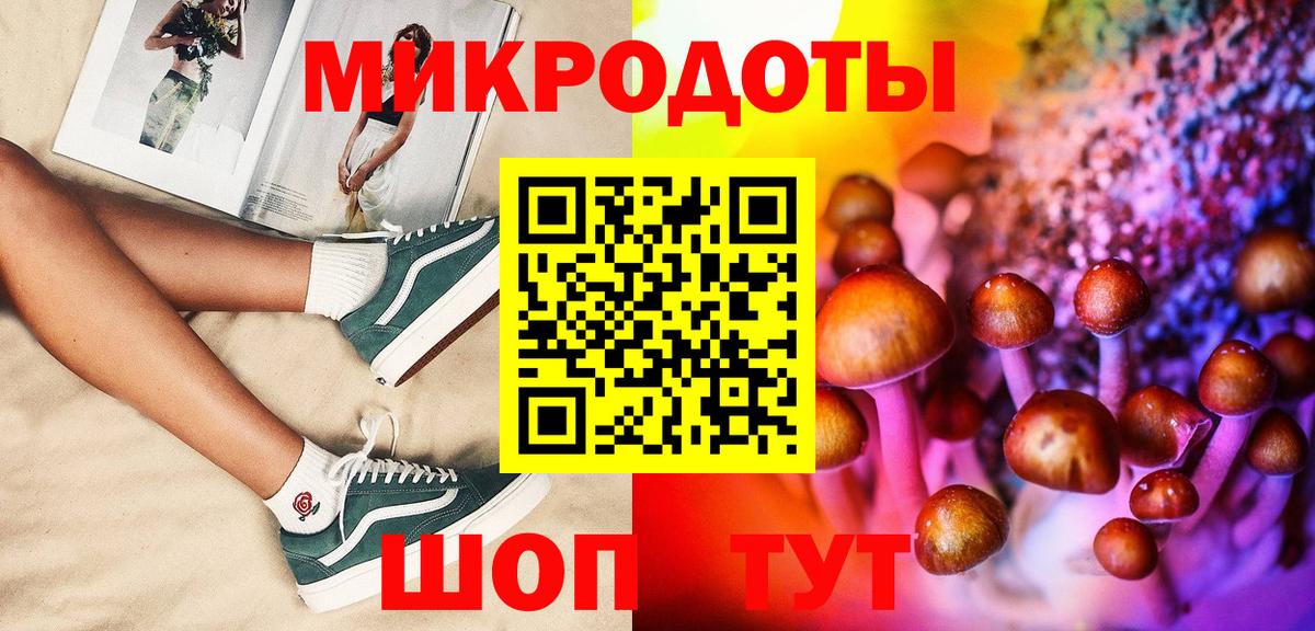 Галлюциногенные грибы Psilocybe Минусинск